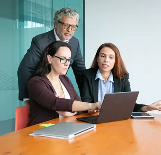 Using a laptop, an IT specialist explains the concept & design of a software application to clients.