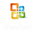 SP 2007