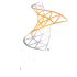 SP 2010